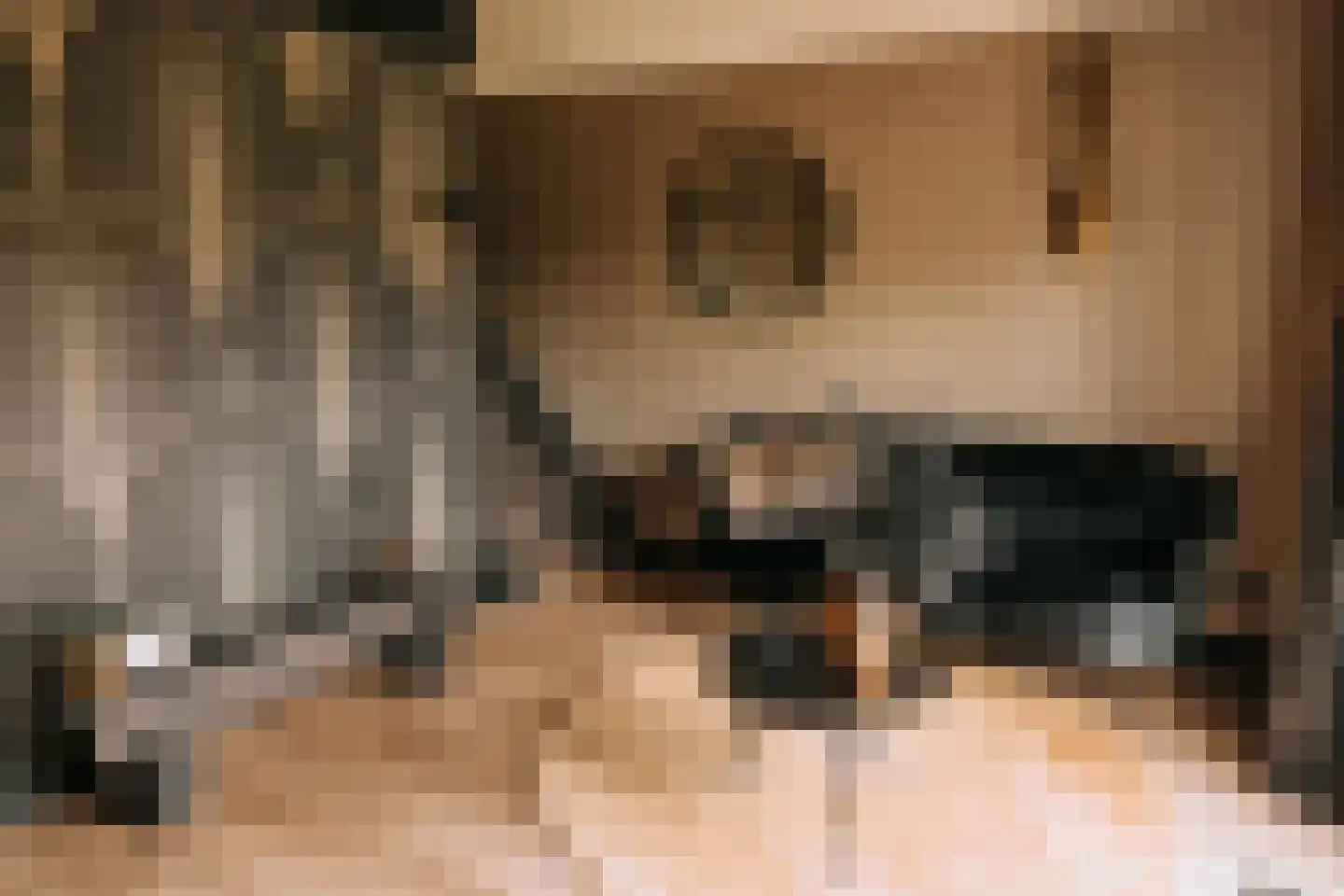 Woerdsestraat 13 Altforst thumbnail 23