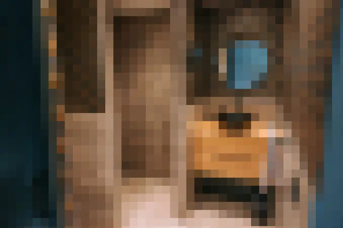 Woerdsestraat 13 Altforst thumbnail 30