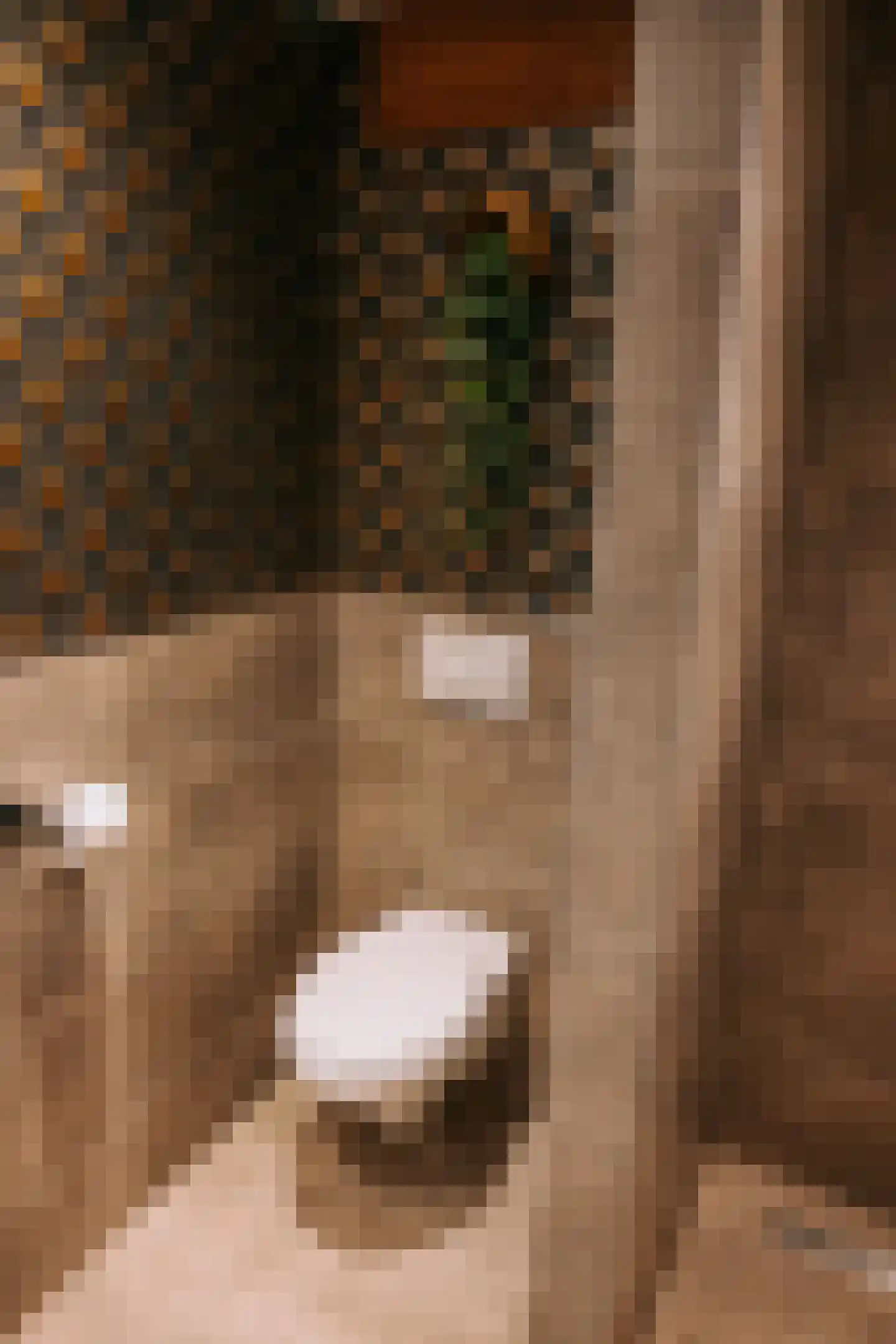 Woerdsestraat 13 Altforst thumbnail 32