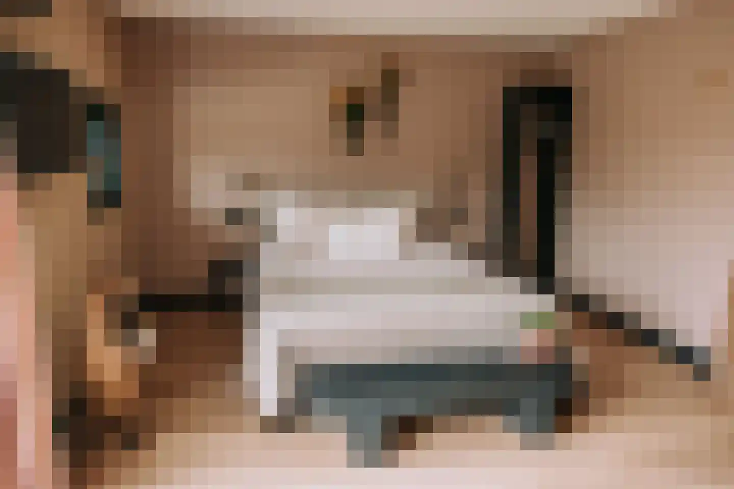 Woerdsestraat 13 Altforst thumbnail 38