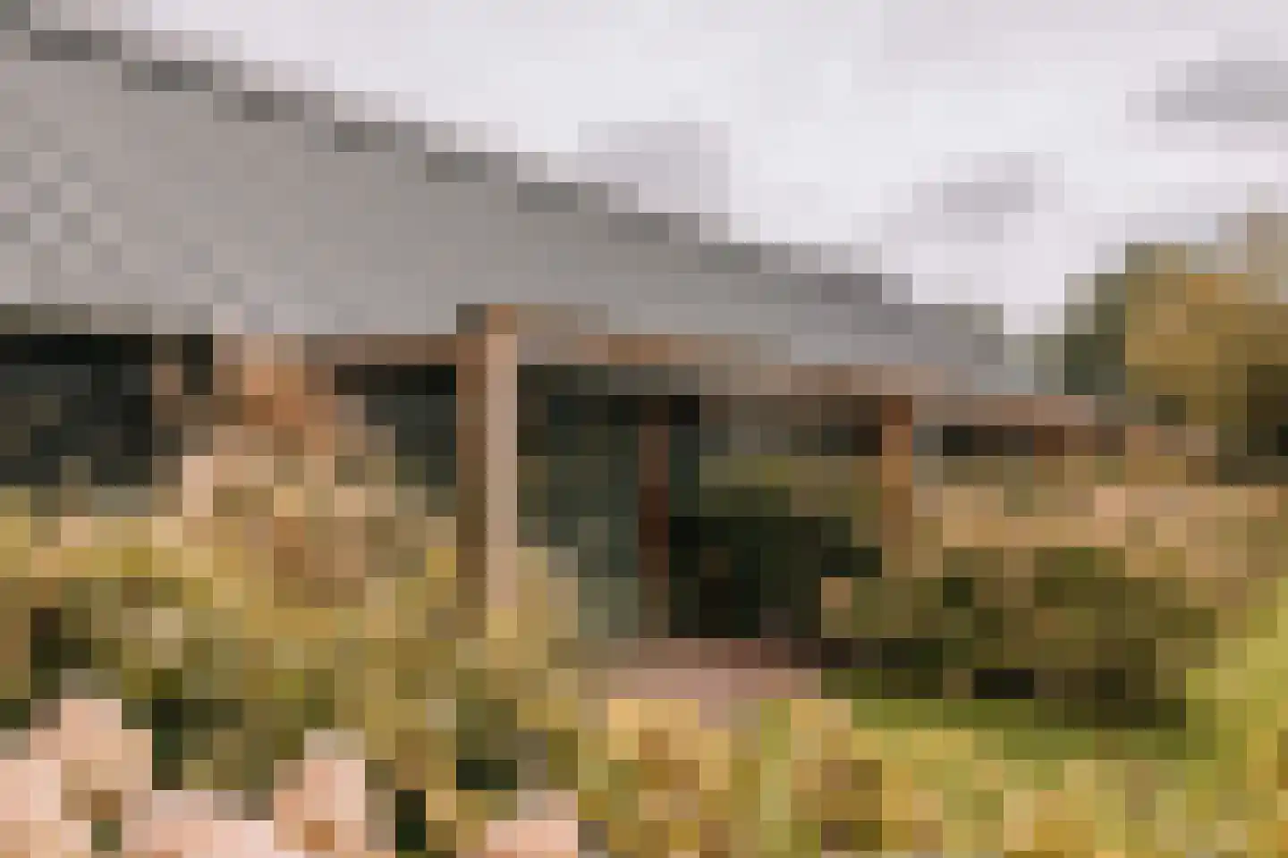 Woerdsestraat 13 Altforst thumbnail 39