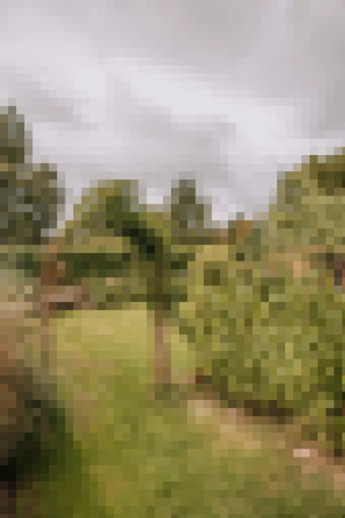 Woerdsestraat 13 Altforst thumbnail 42