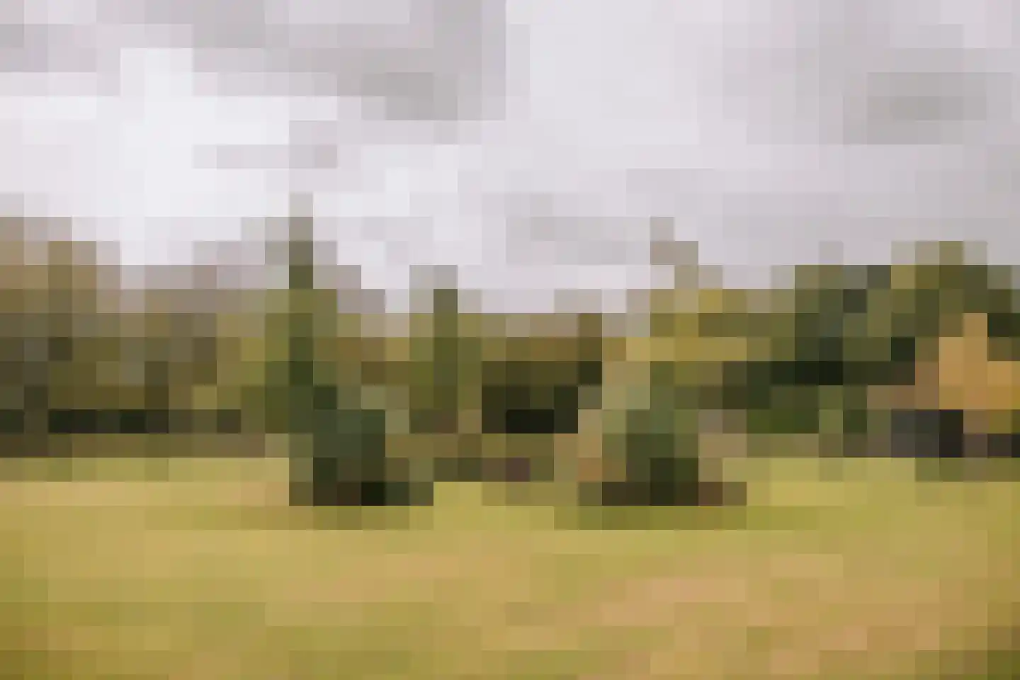 Woerdsestraat 13 Altforst thumbnail 49