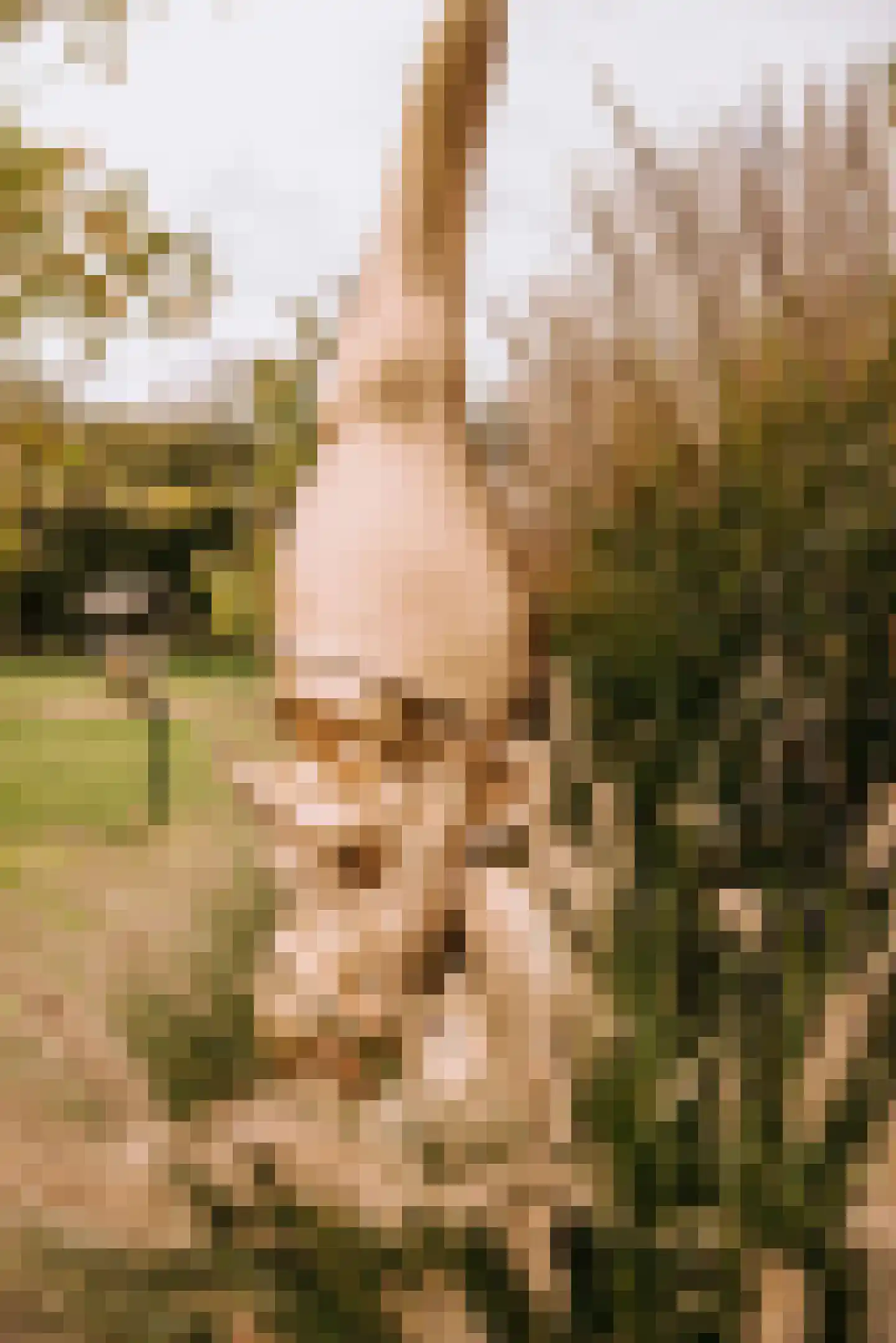 Woerdsestraat 13 Altforst thumbnail 53