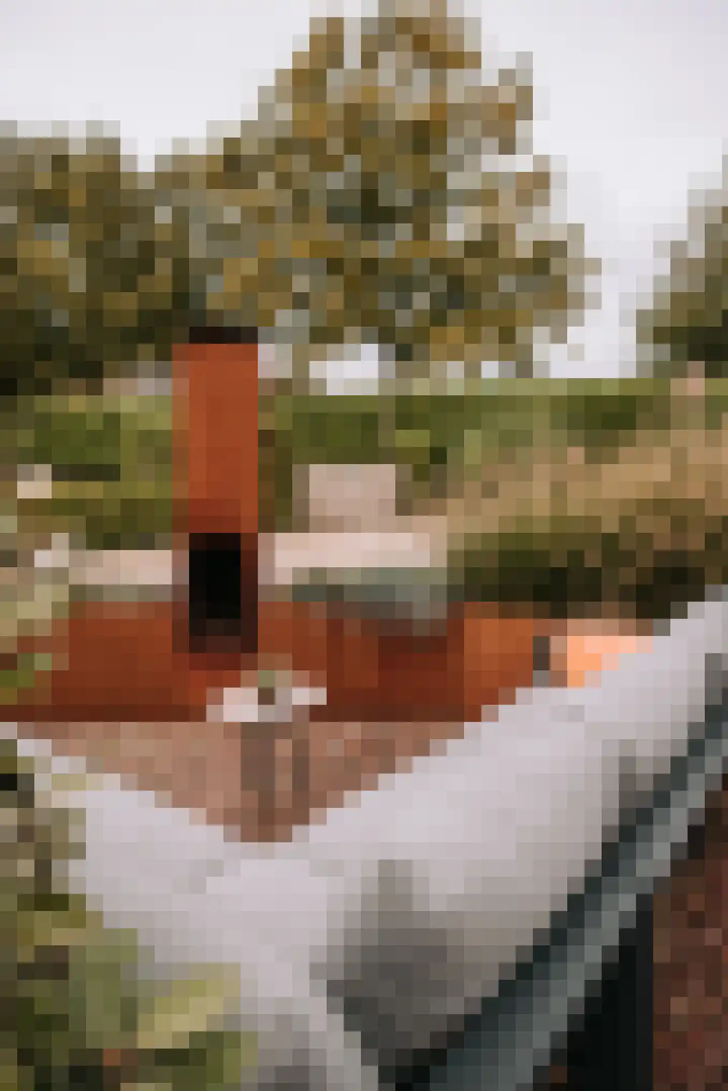 Woerdsestraat 13 Altforst thumbnail 55