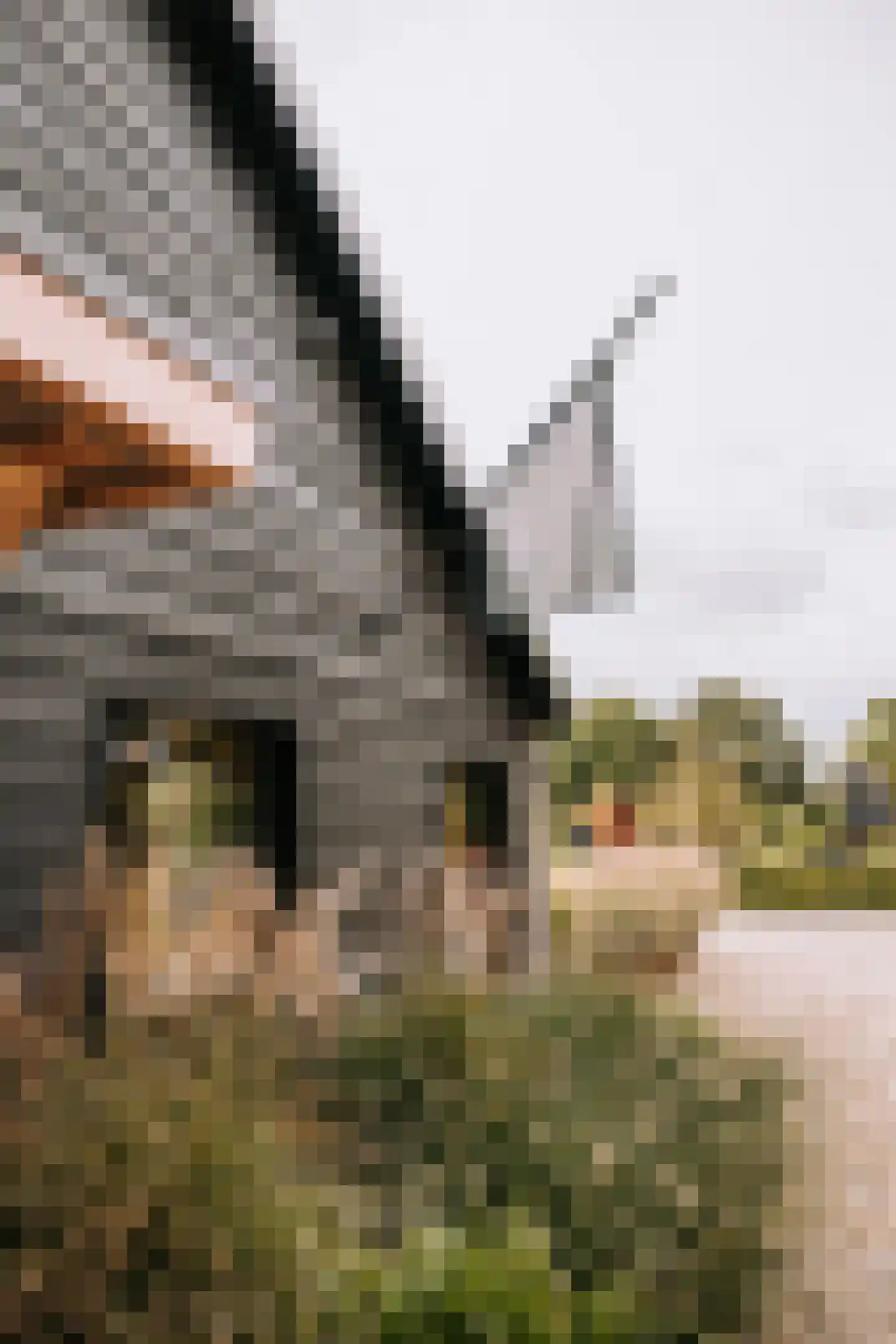 Woerdsestraat 13 Altforst thumbnail 56