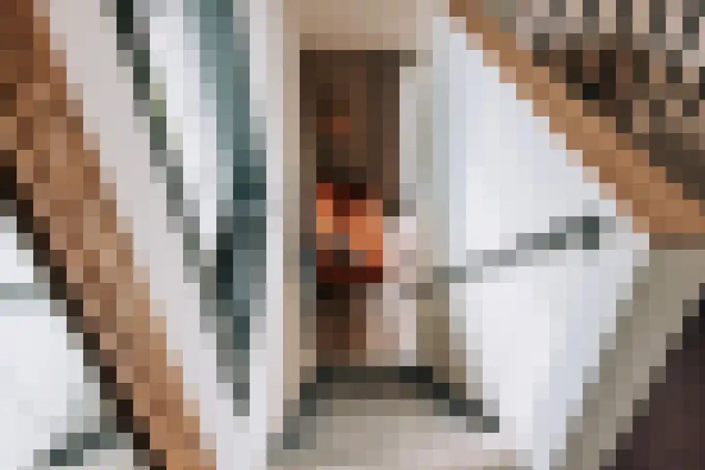 Woerdsestraat 13 Altforst thumbnail 8