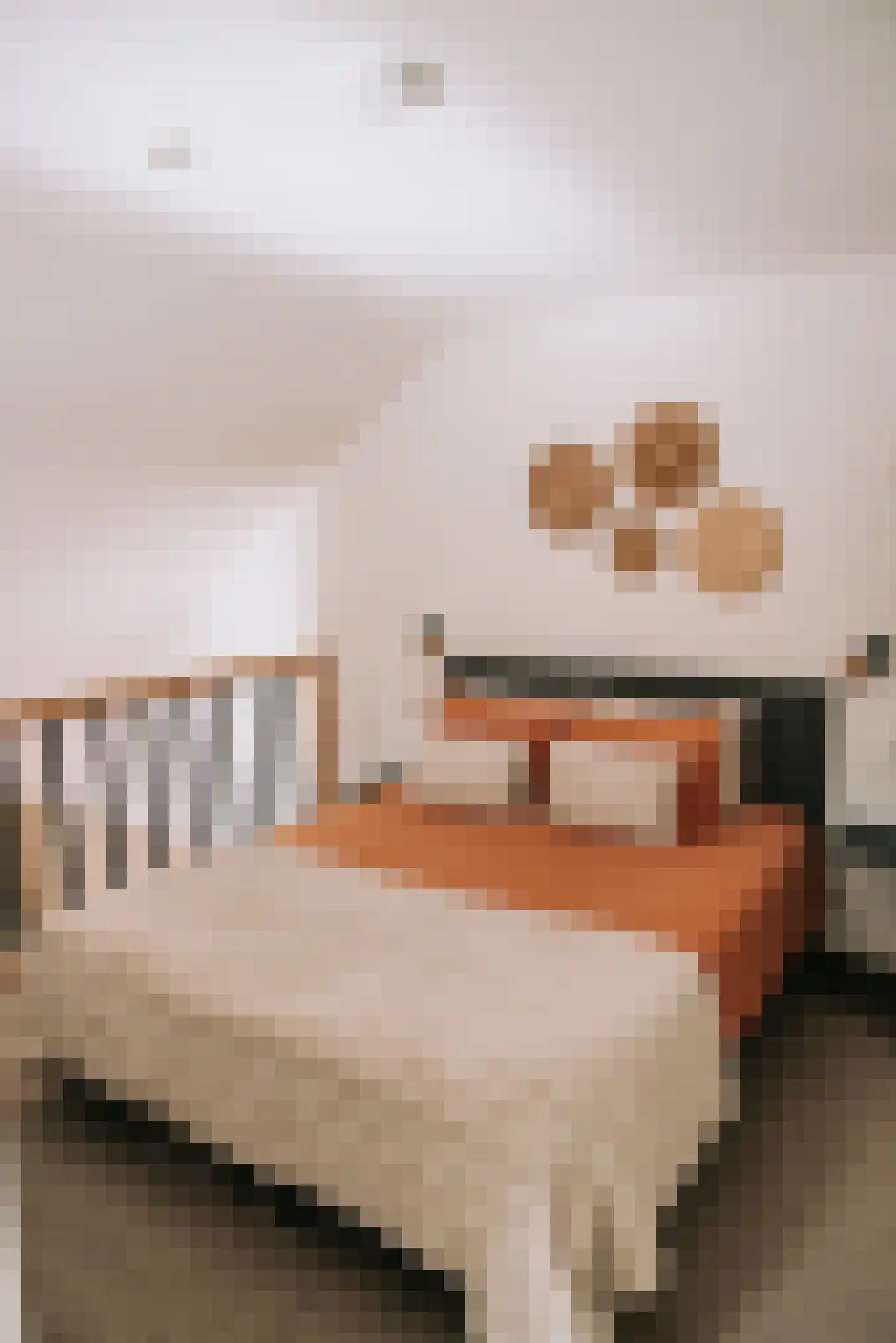 Woerdsestraat 13 Altforst thumbnail 9