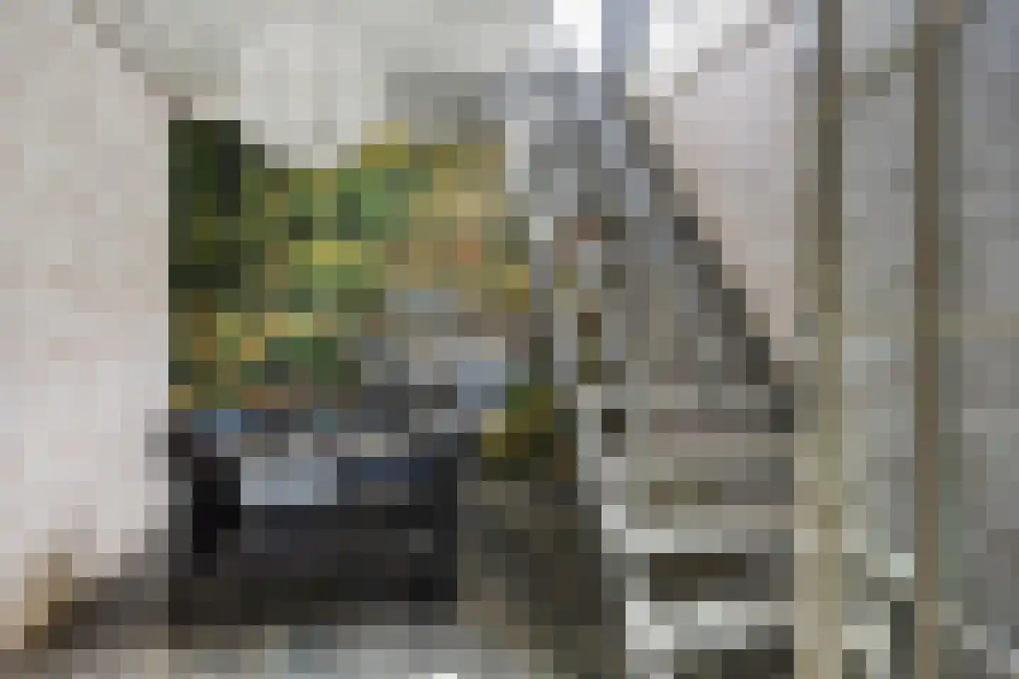 Woerdsestraat 14 Zetten thumbnail 25