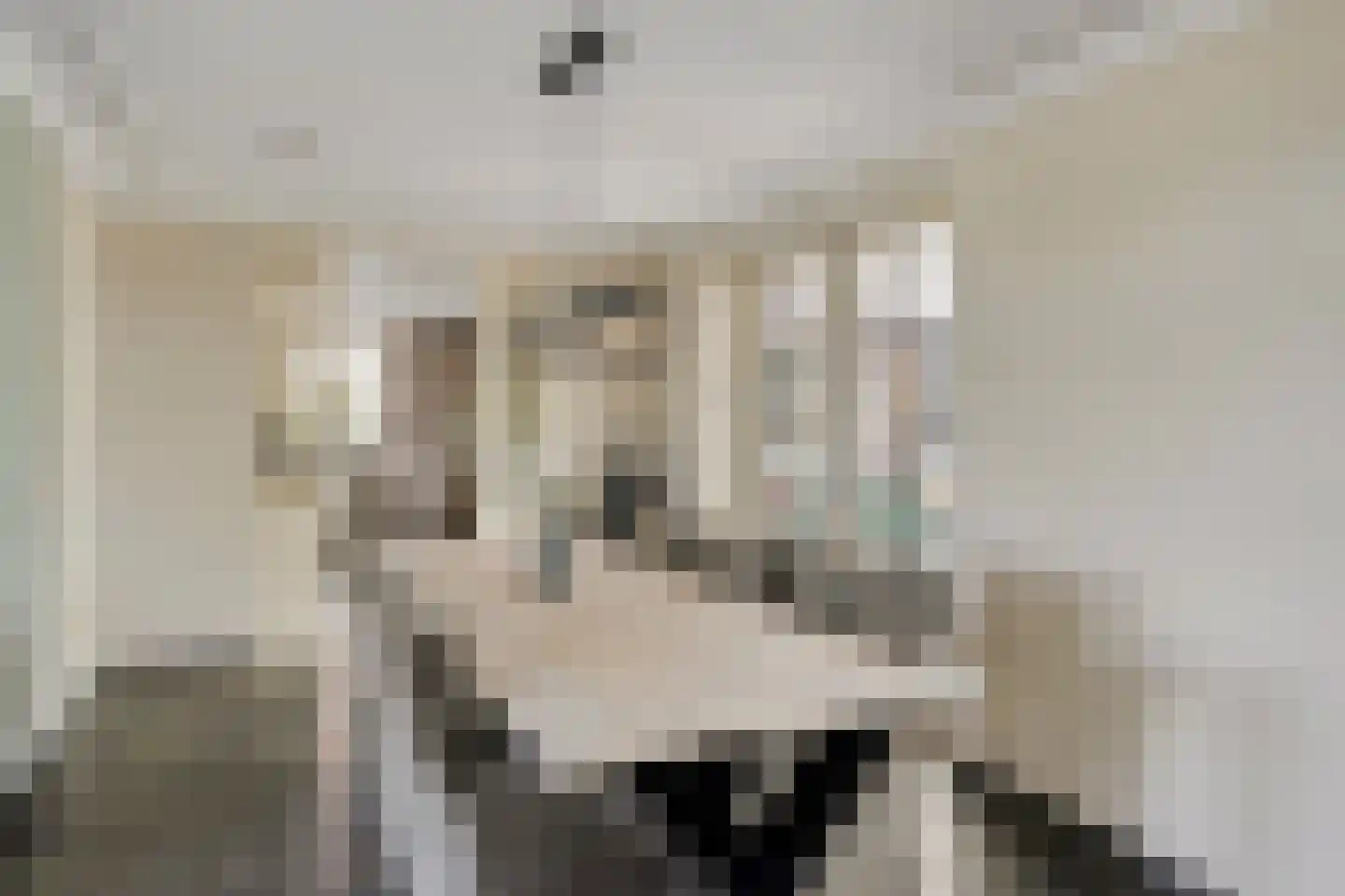 Woerdsestraat 14 Zetten thumbnail 30
