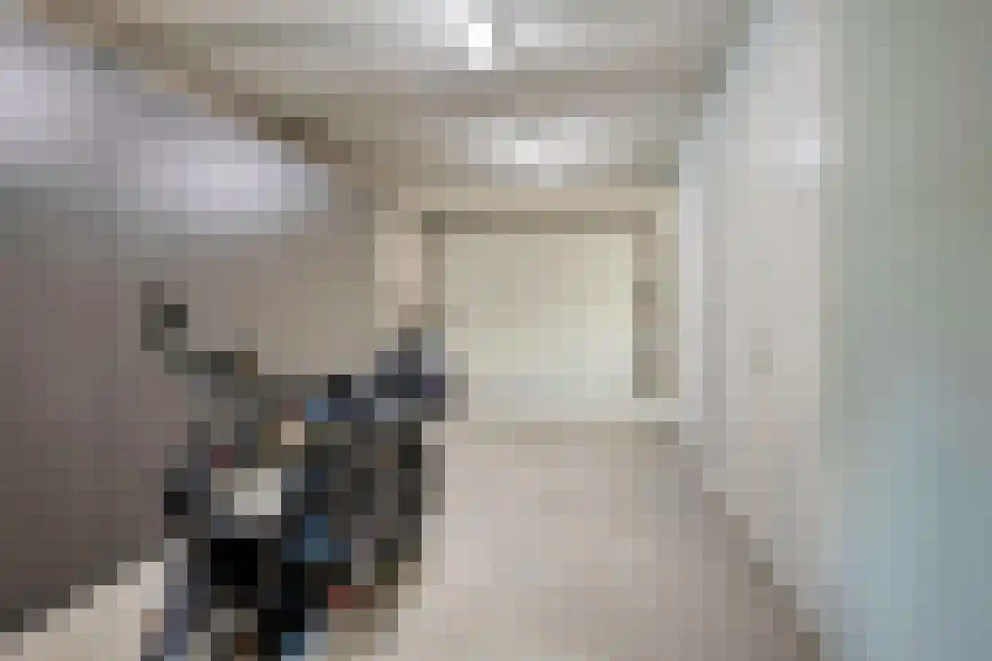 Woerdsestraat 14 Zetten thumbnail 45