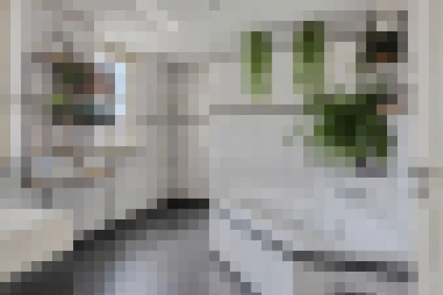 Woerdsestraat 14 Zetten thumbnail 61