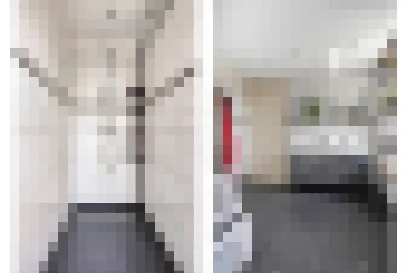 Woerdsestraat 14 Zetten thumbnail 62