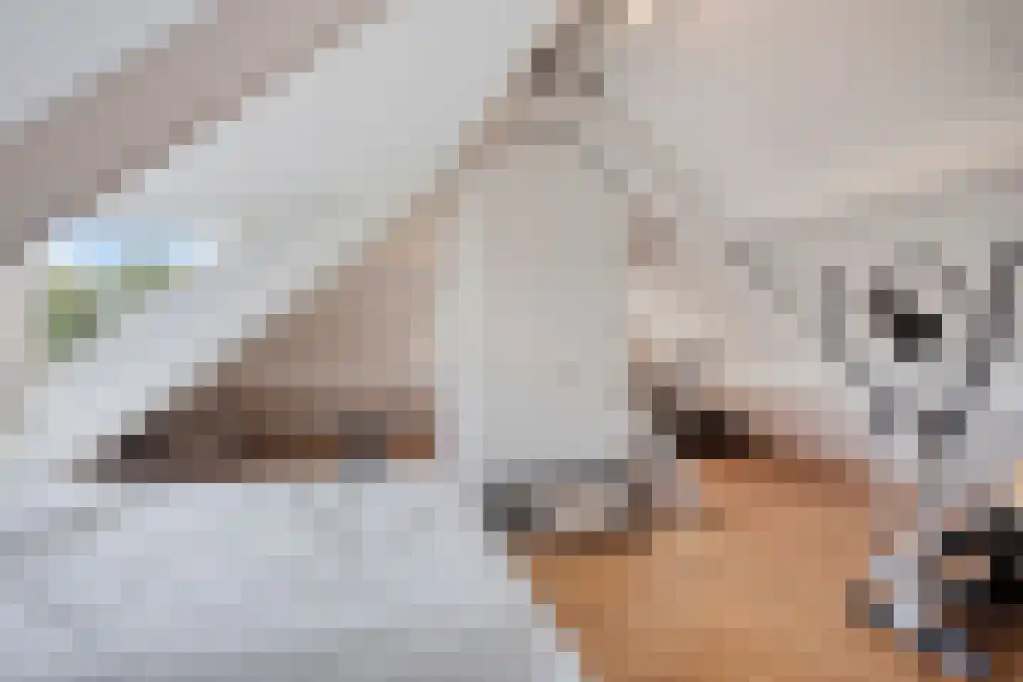 Woerdsestraat 14 Zetten thumbnail 66