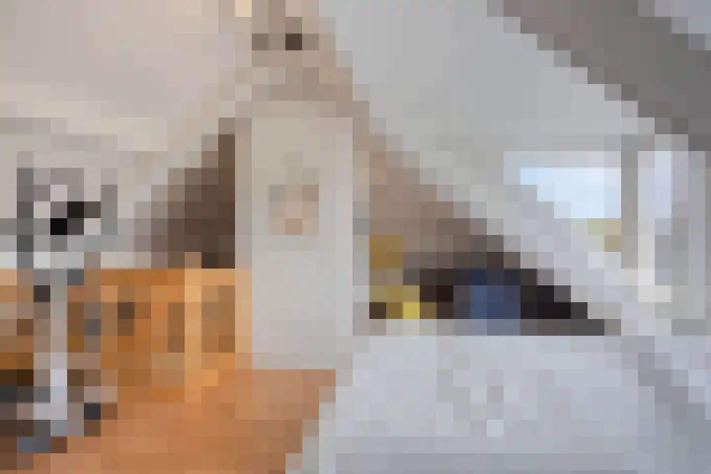 Woerdsestraat 14 Zetten thumbnail 67