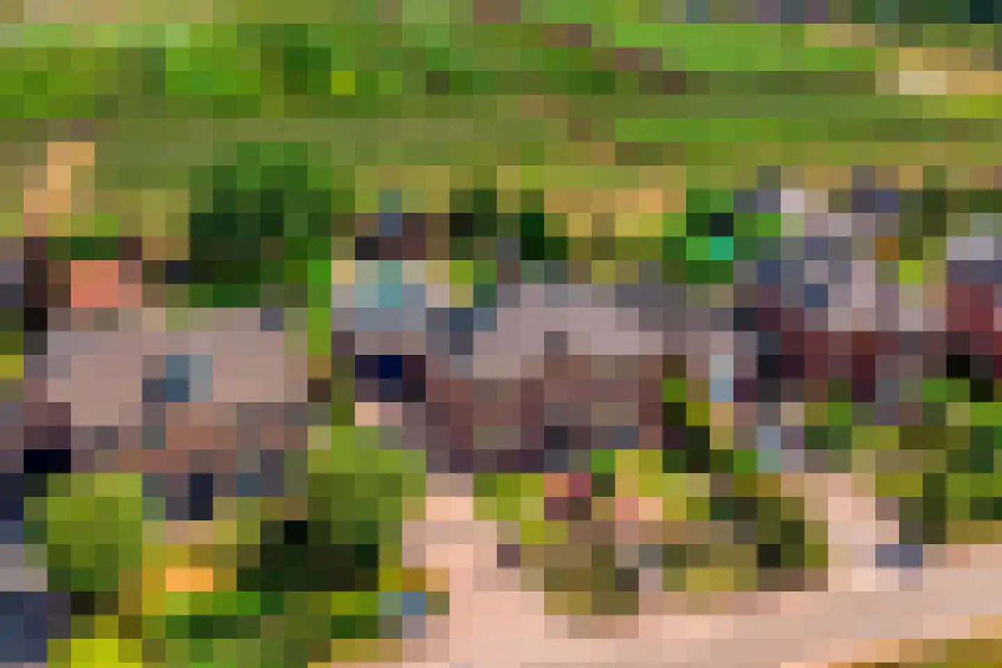 Woerdsestraat 14 Zetten thumbnail 7
