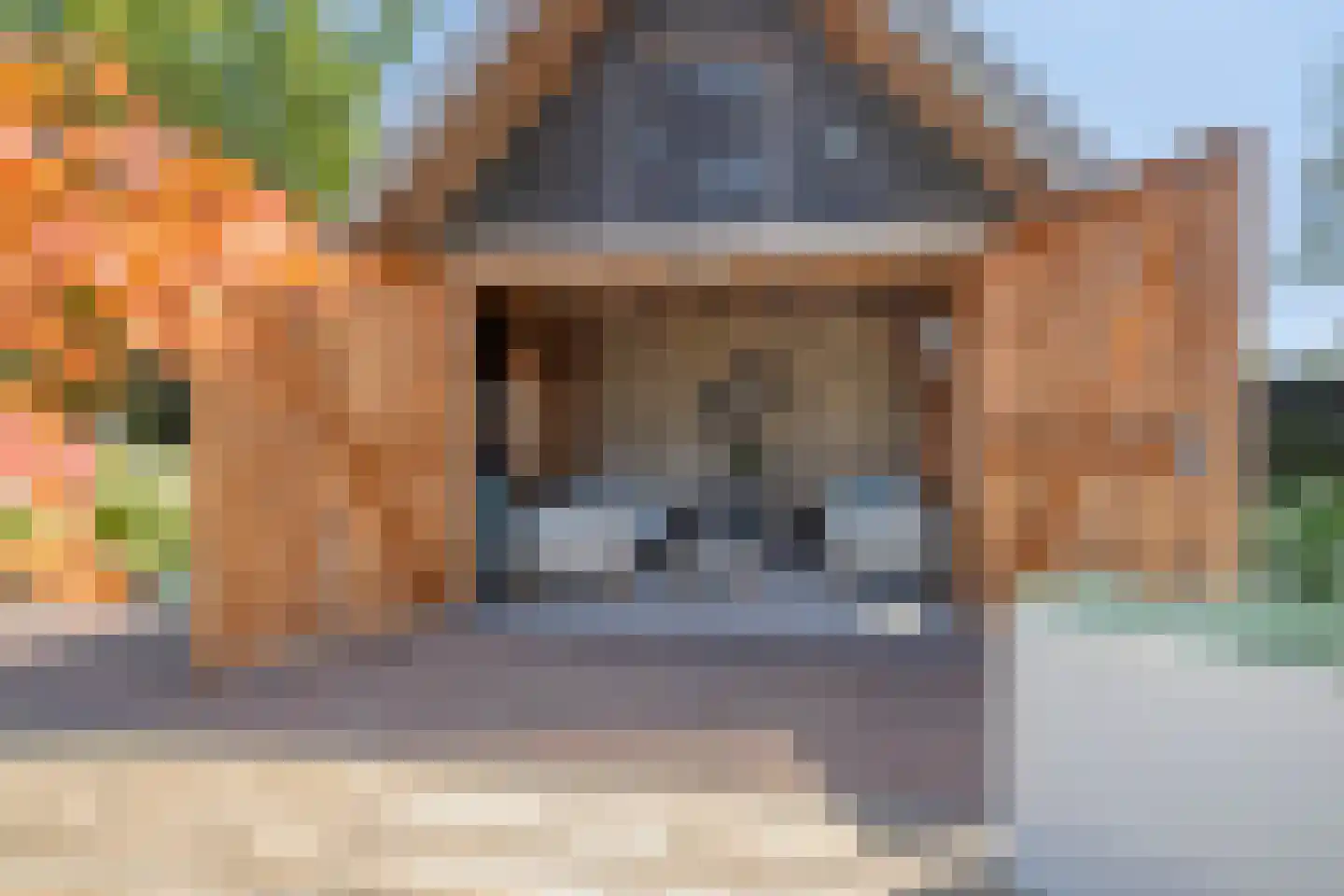 Woerdsestraat 14 Zetten thumbnail 88