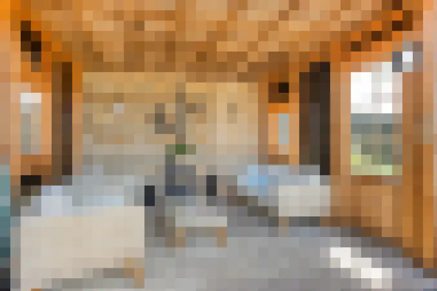 Woerdsestraat 14 Zetten thumbnail 89