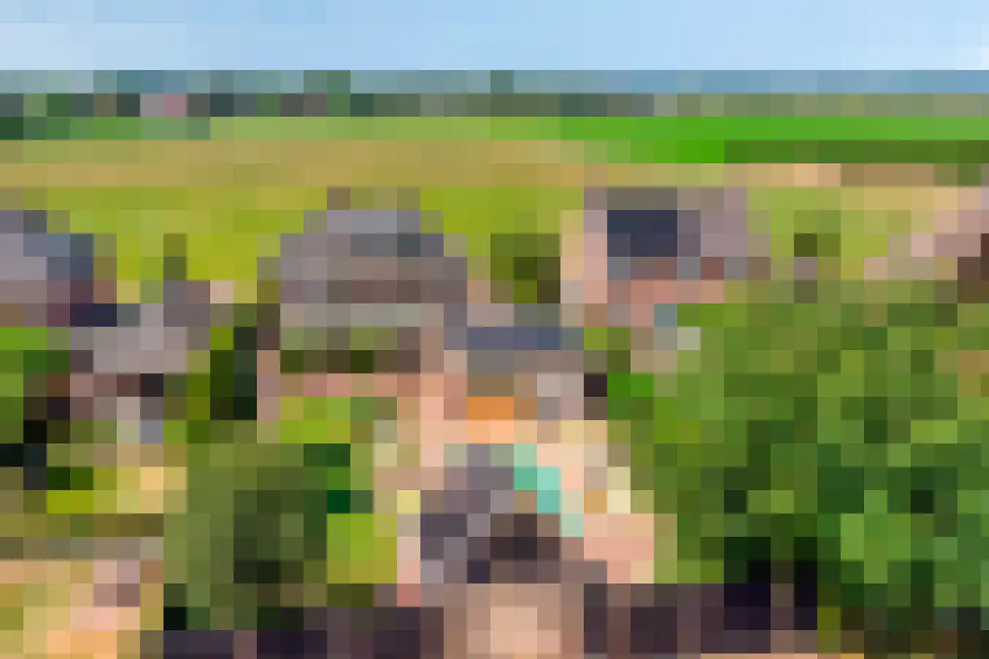 Woerdsestraat 14 Zetten thumbnail 95