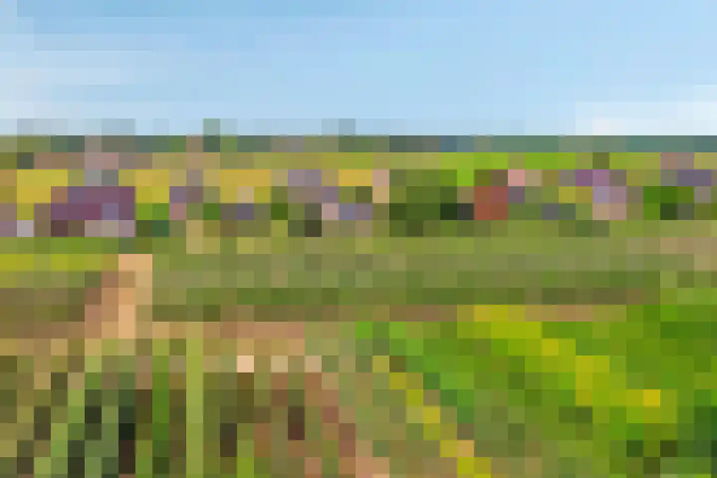 Woerdsestraat 14 Zetten thumbnail 96