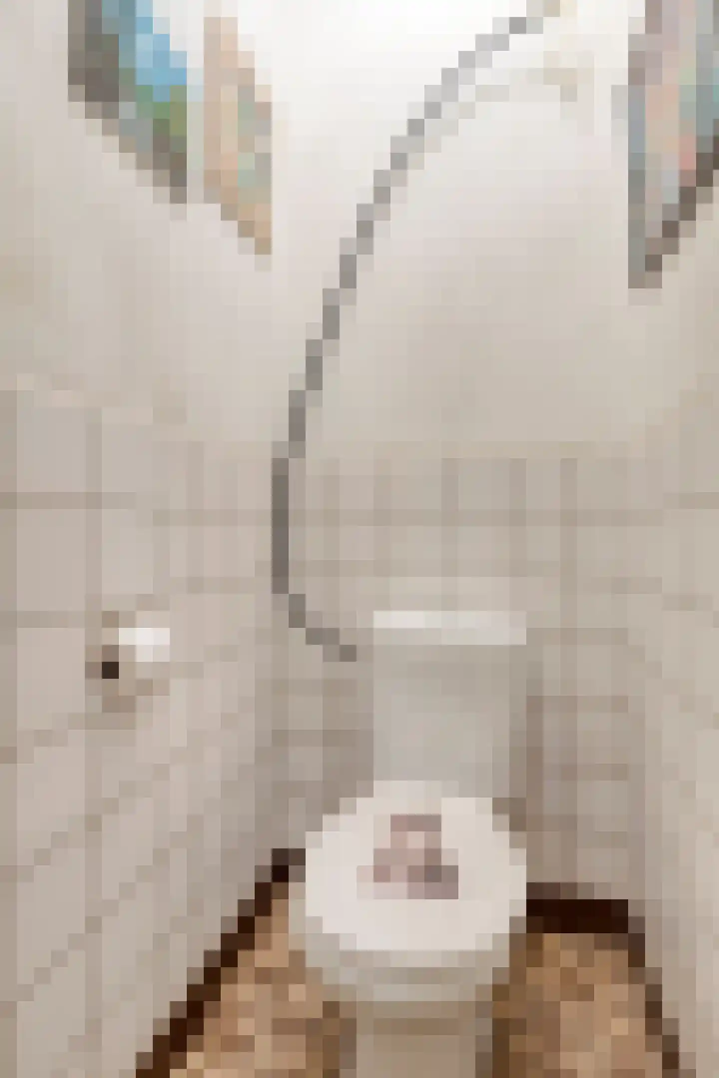 Woerdsestraat 18 Altforst thumbnail 25