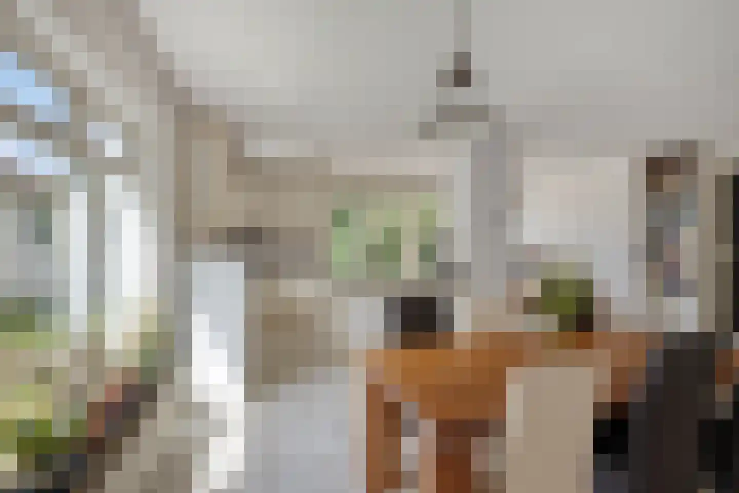 Woerdsestraat 18 Altforst thumbnail 32