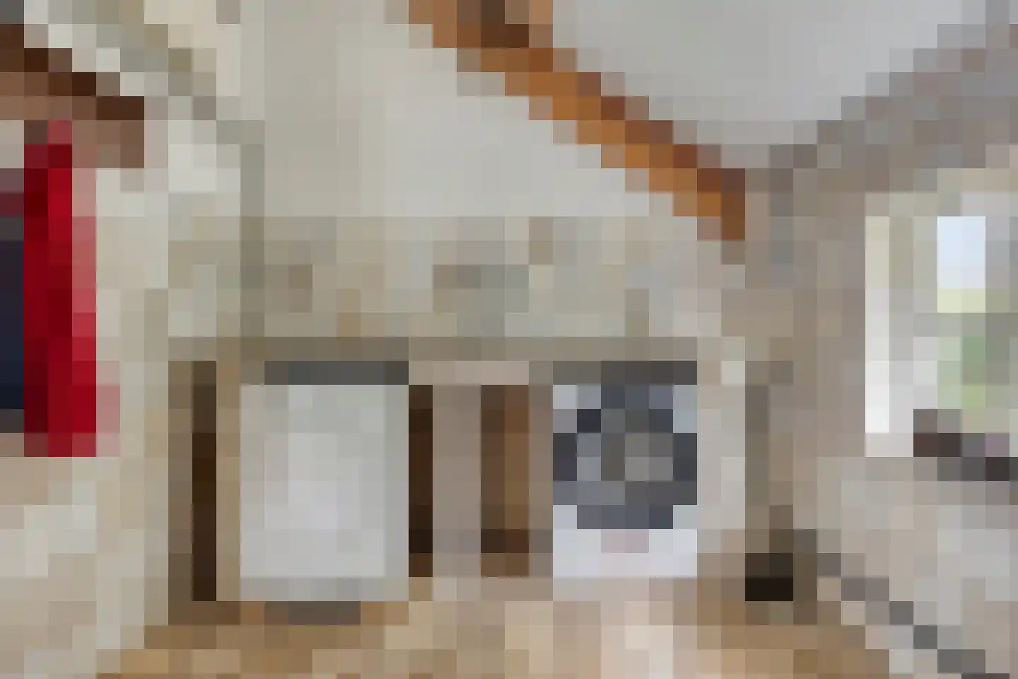 Woerdsestraat 18 Altforst thumbnail 34