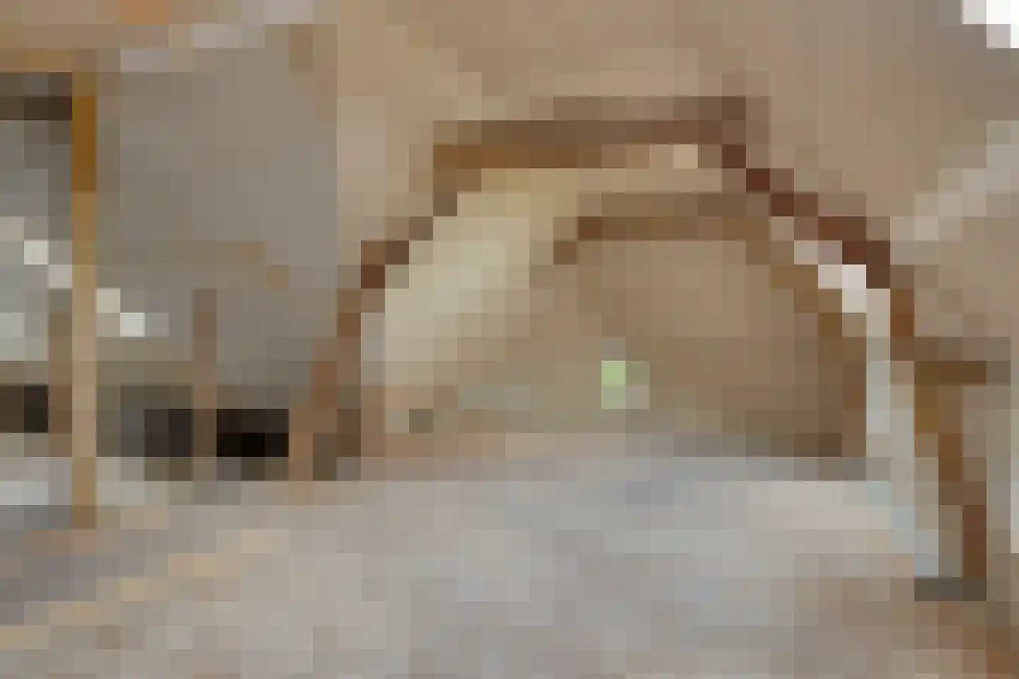 Woerdsestraat 18 Altforst thumbnail 39