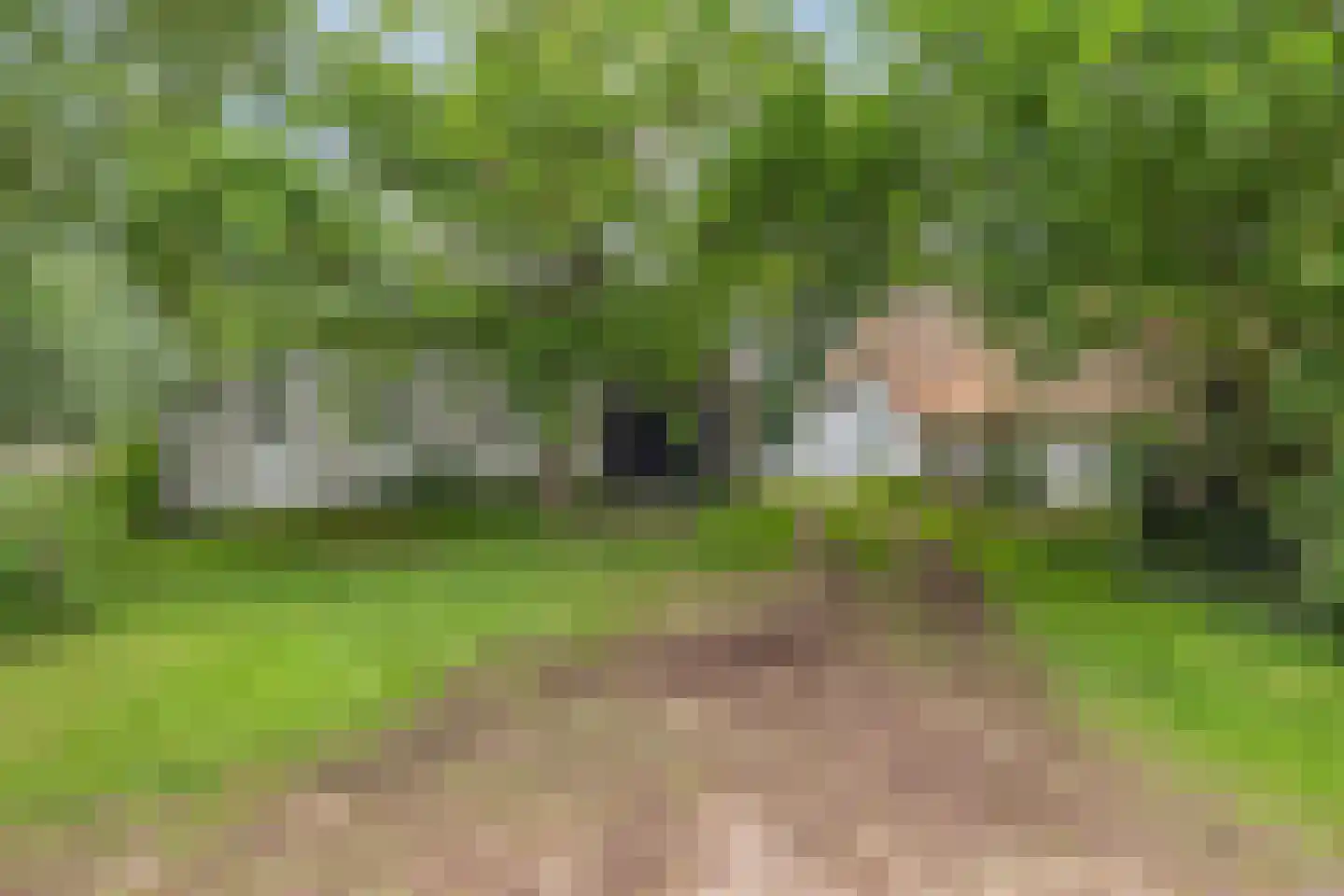 Woerdsestraat 18 Altforst thumbnail 41