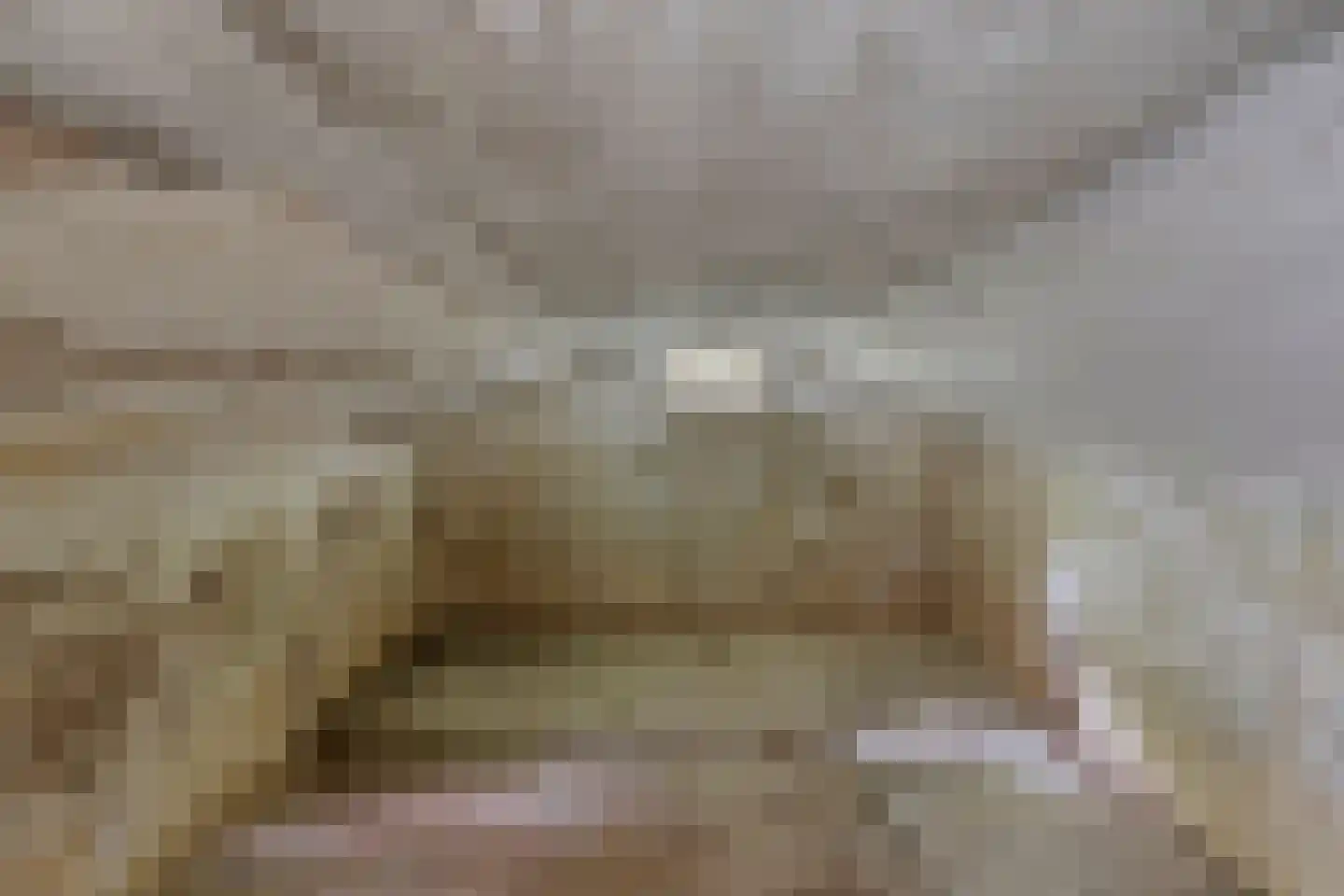 Woerdsestraat 18 Altforst thumbnail 43