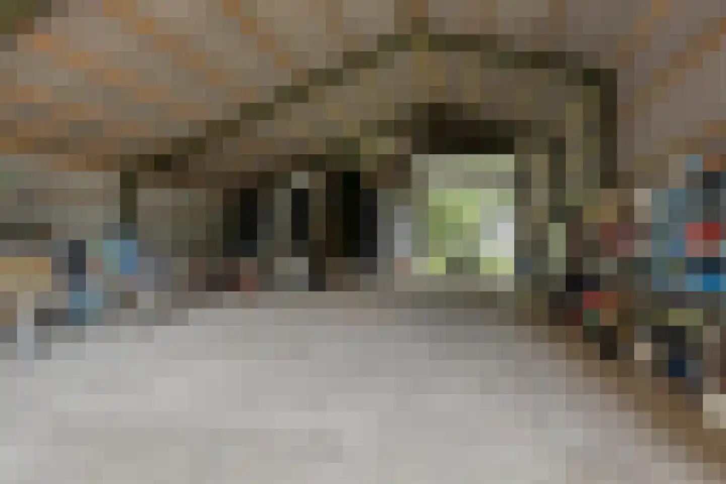 Woerdsestraat 18 Altforst thumbnail 46