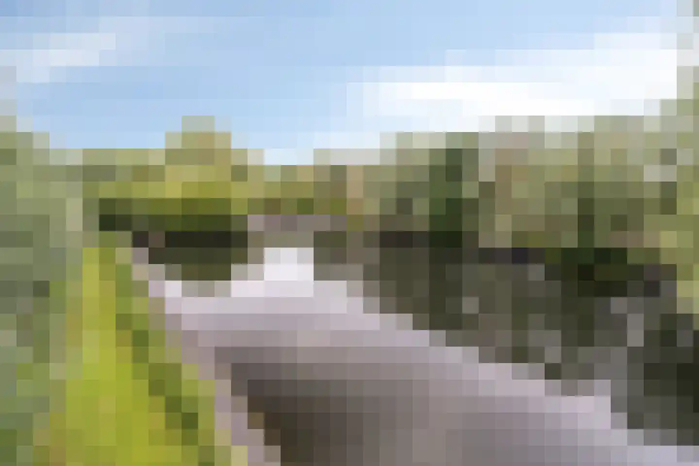 Woerdsestraat 18 Altforst thumbnail 50