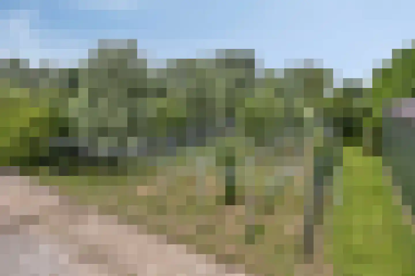 Woerdsestraat 18 Altforst thumbnail 51