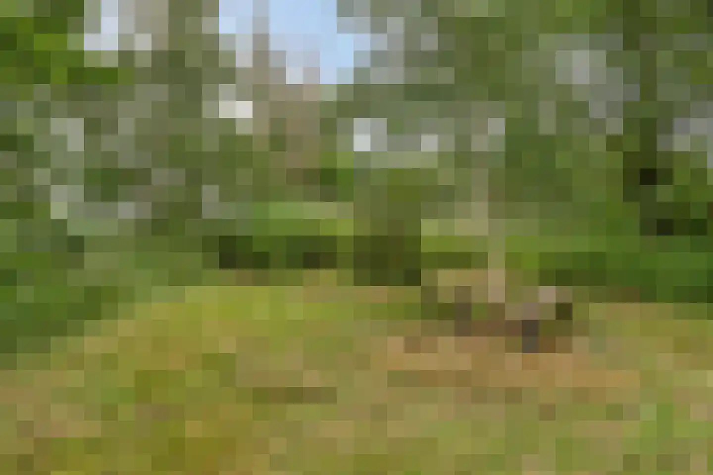 Woerdsestraat 18 Altforst thumbnail 53