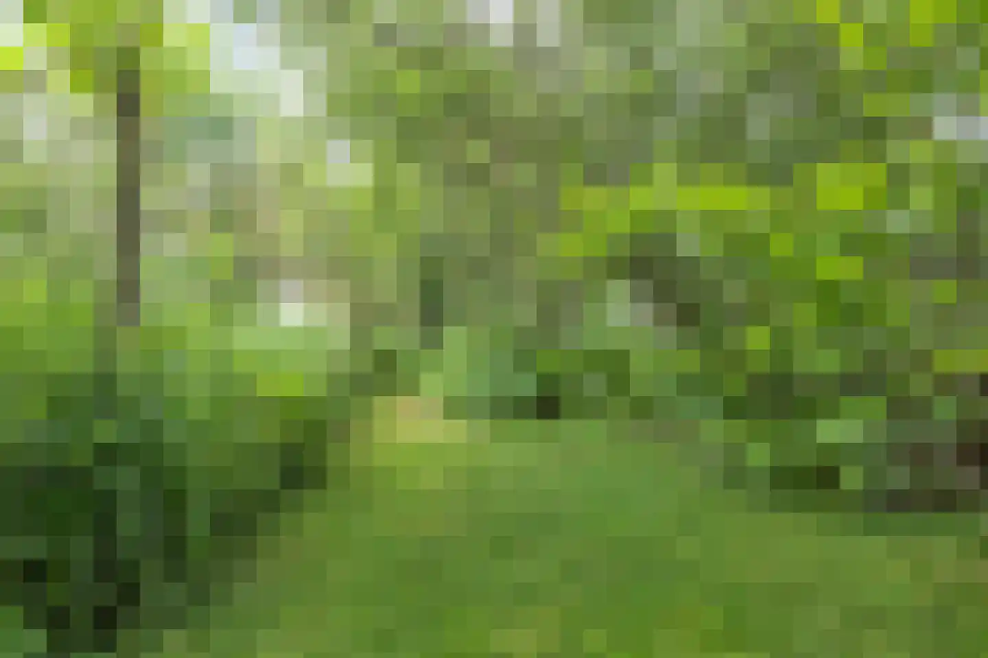 Woerdsestraat 18 Altforst thumbnail 54