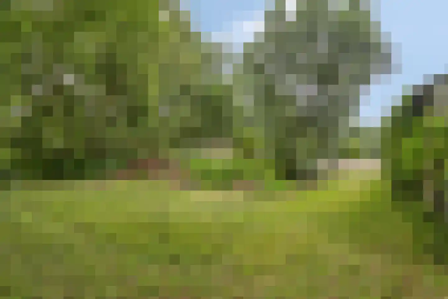 Woerdsestraat 18 Altforst thumbnail 55