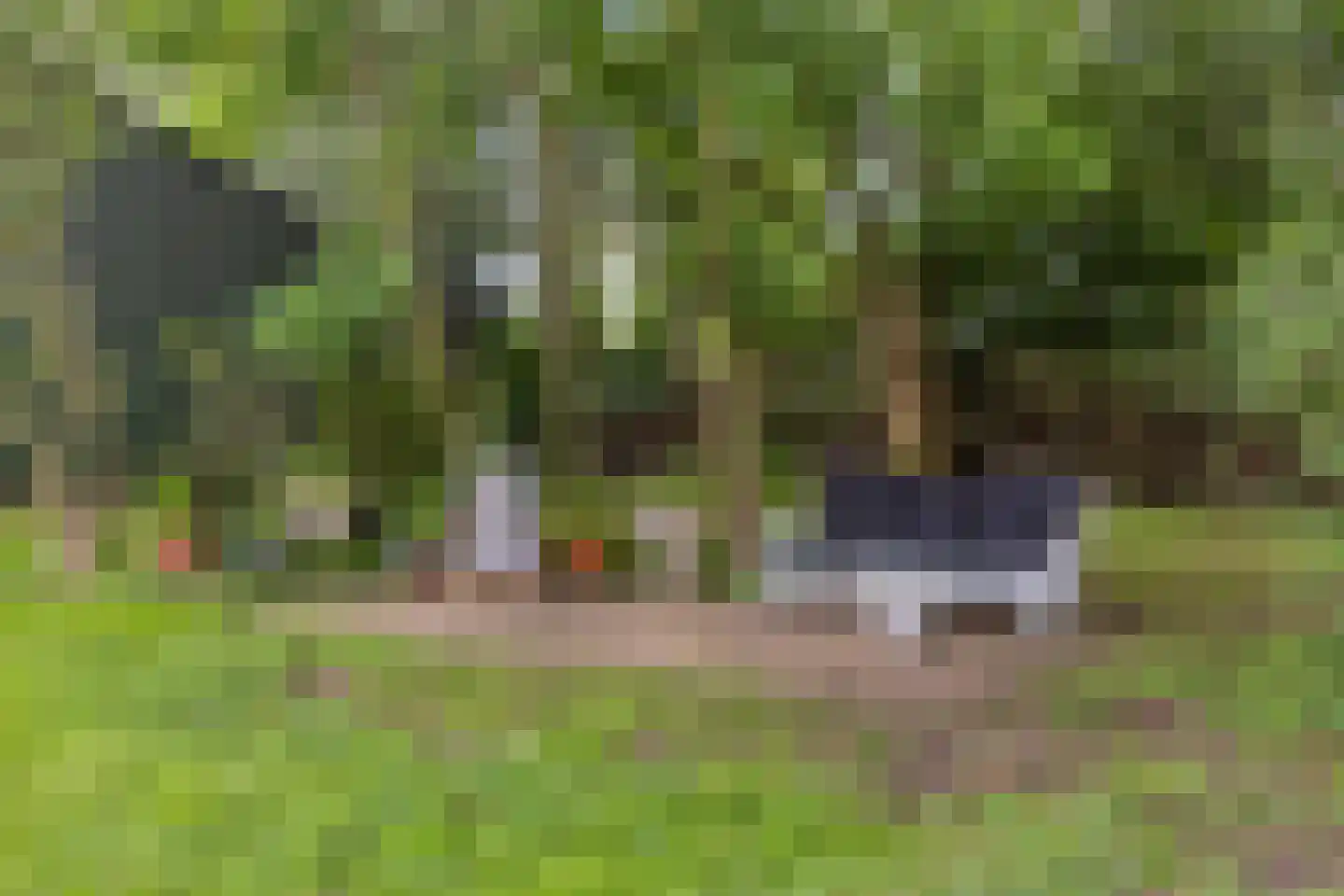 Woerdsestraat 18 Altforst thumbnail 57