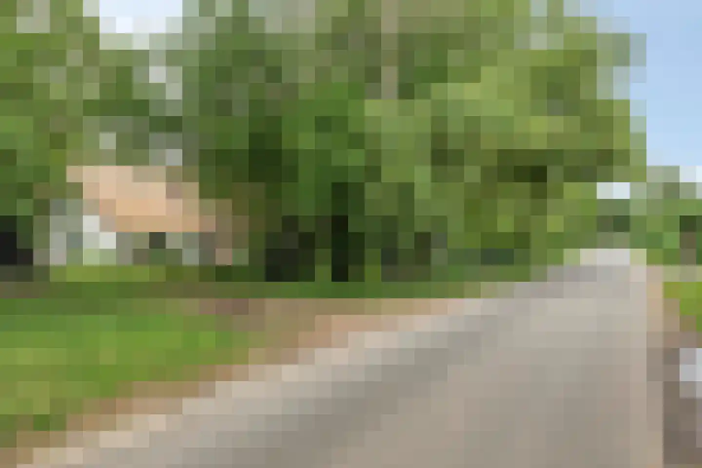 Woerdsestraat 18 Altforst thumbnail 59