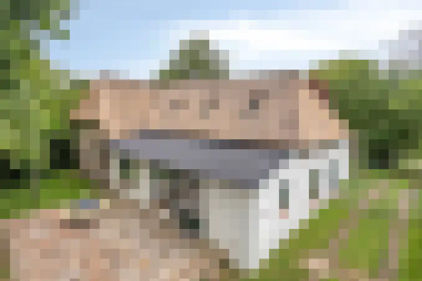 Woerdsestraat 18 Altforst thumbnail 6