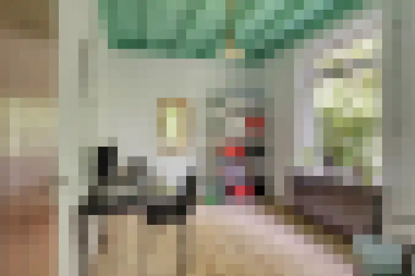 Woerdsestraat 18 Altforst thumbnail 9