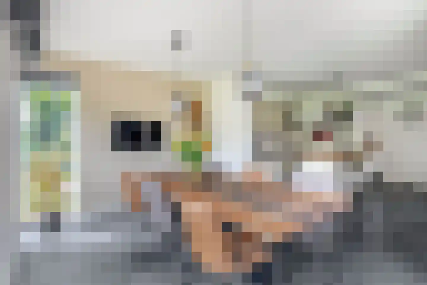 Woerdsestraat 20 Altforst thumbnail 13