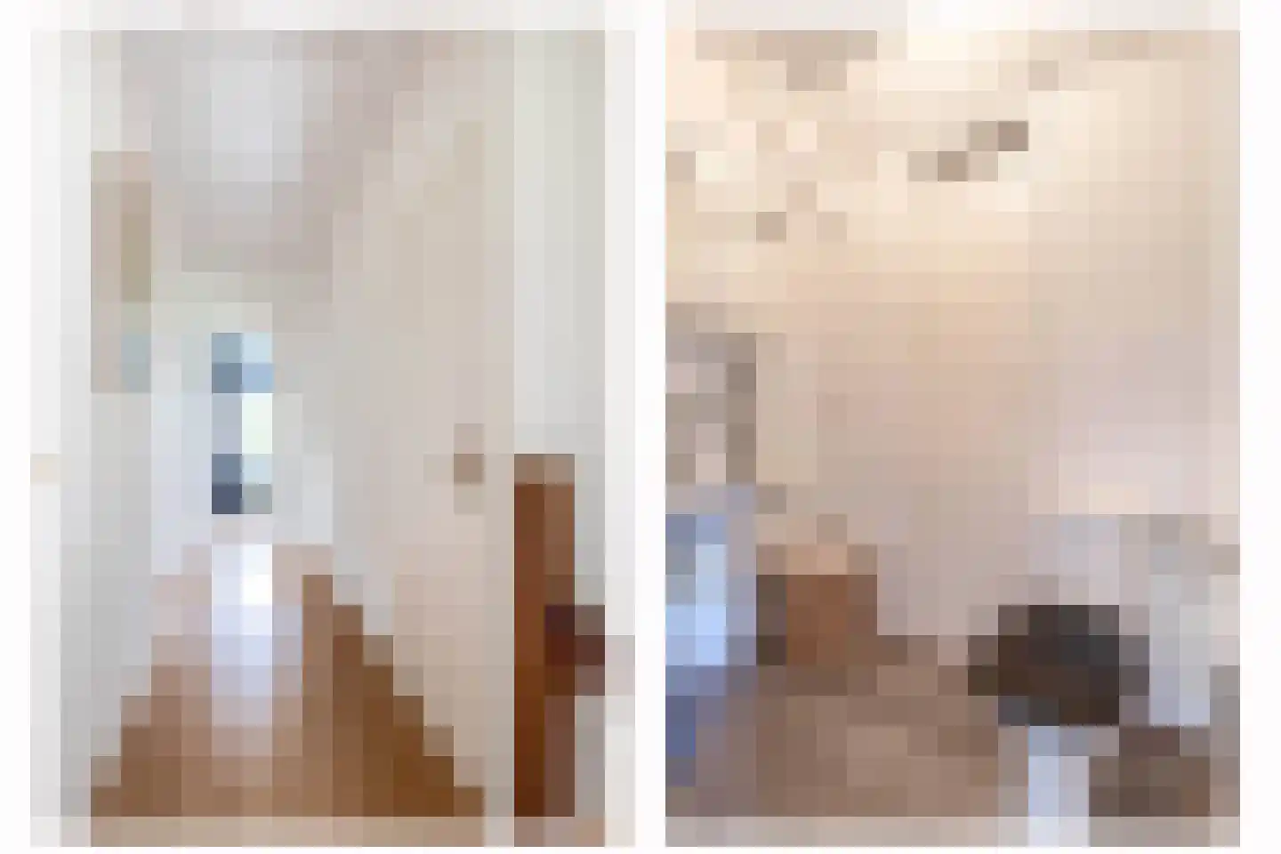Woerdsestraat 20 Altforst thumbnail 22