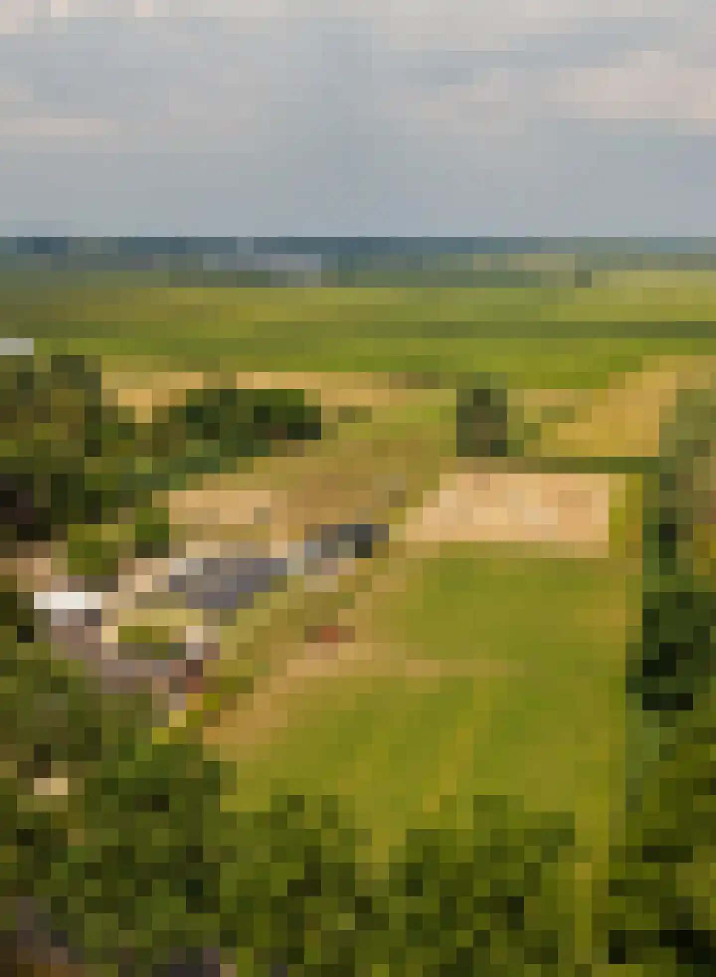Woerdsestraat 20 Altforst thumbnail 35