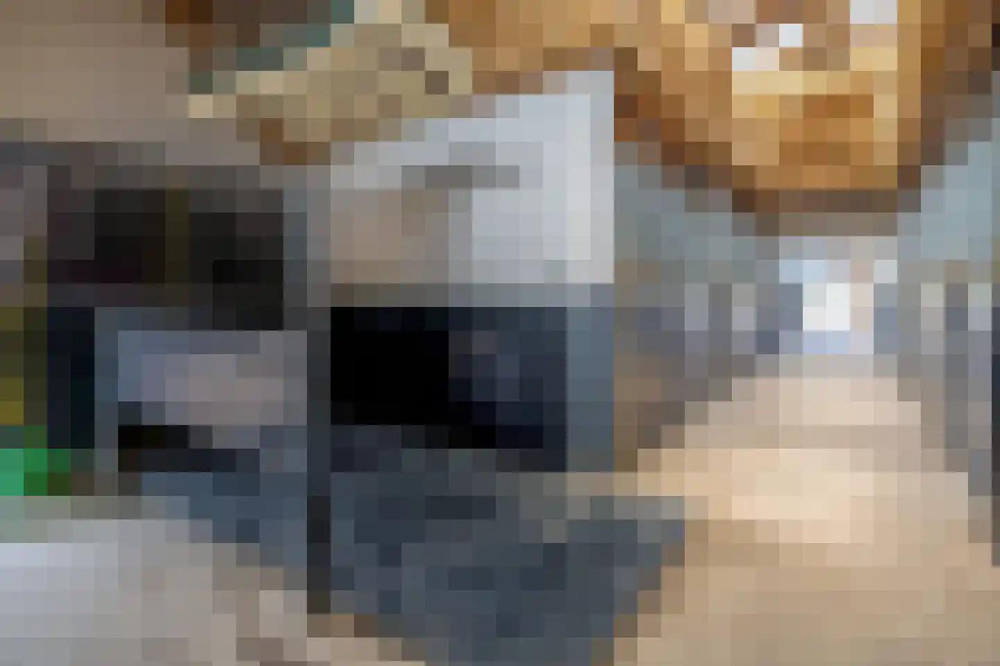 Woerdsestraat 20 Altforst thumbnail 38