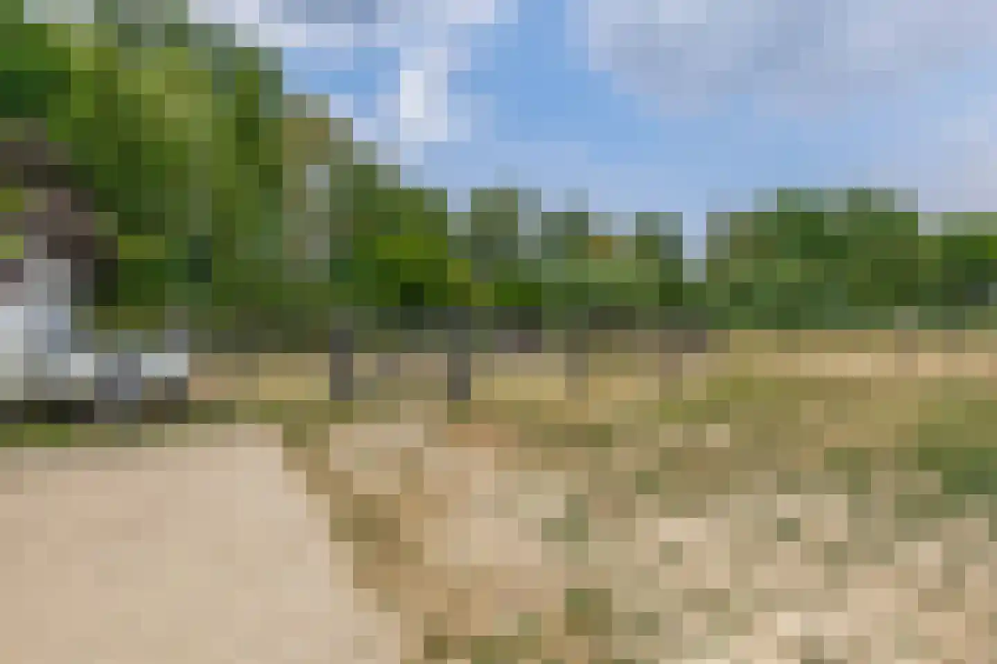Woerdsestraat 20 Altforst thumbnail 41