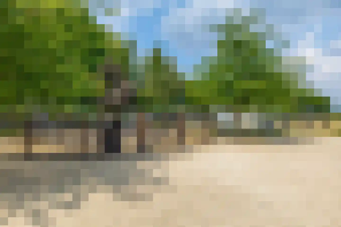 Woerdsestraat 20 Altforst thumbnail 45
