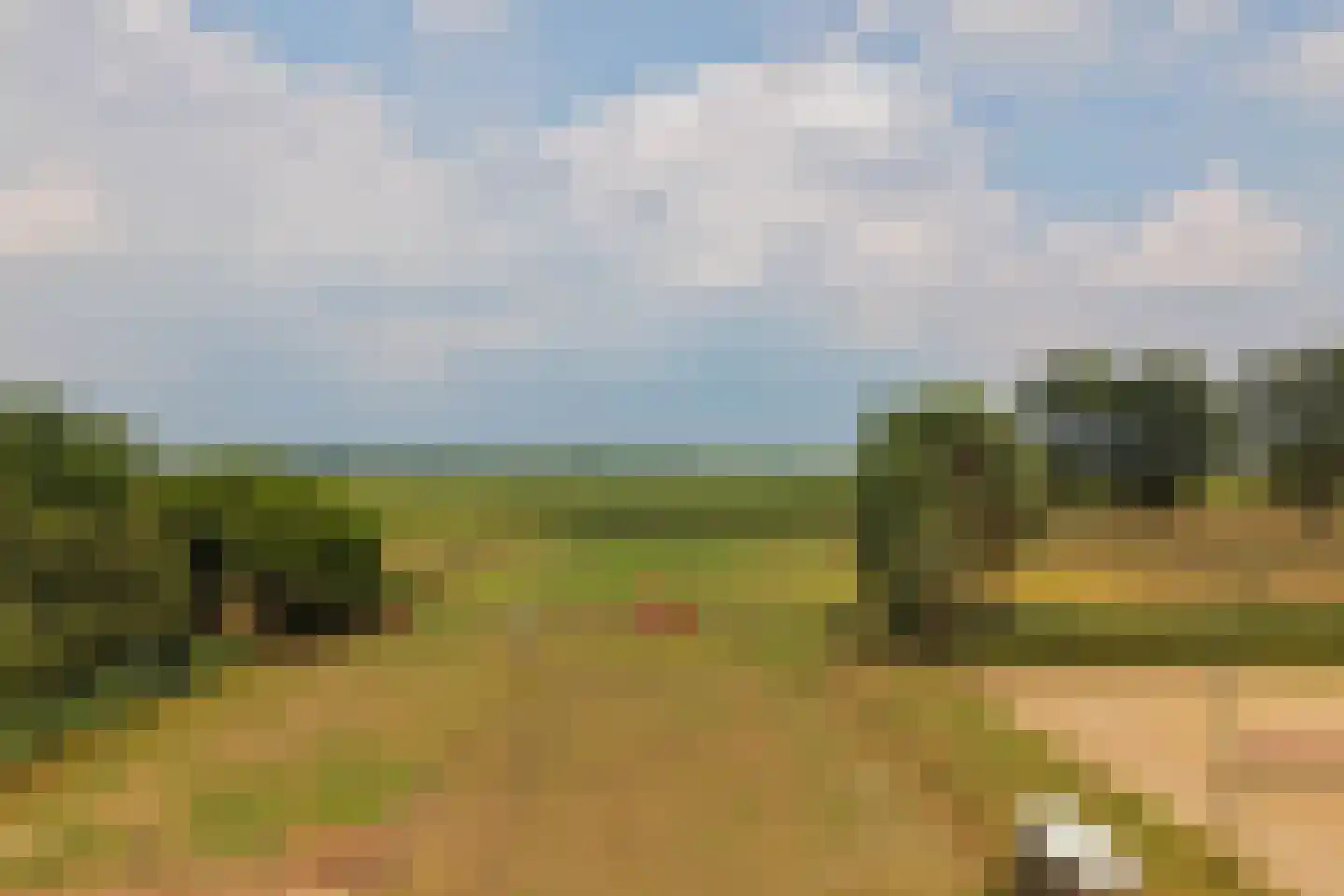 Woerdsestraat 20 Altforst thumbnail 49