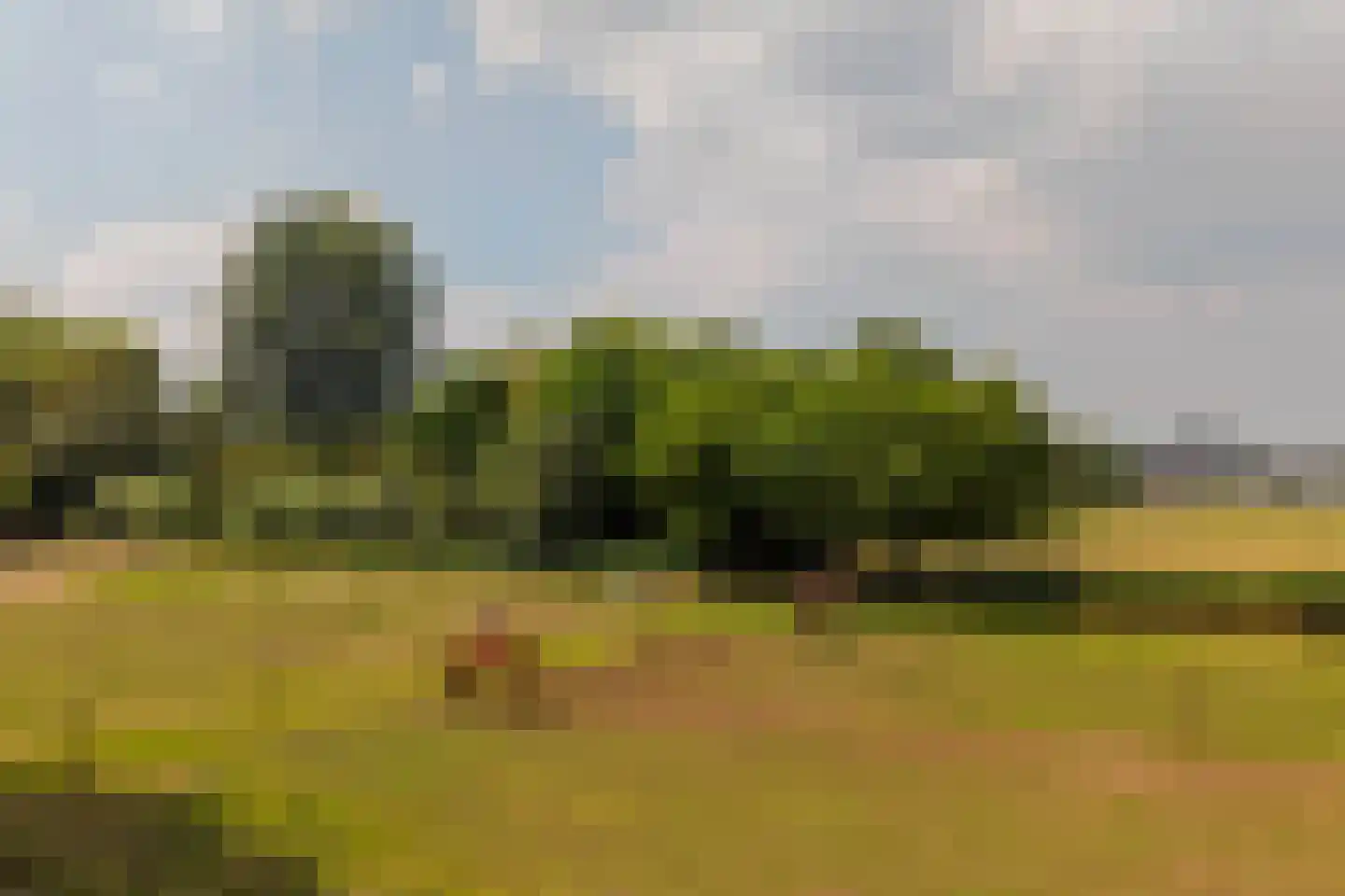Woerdsestraat 20 Altforst thumbnail 5