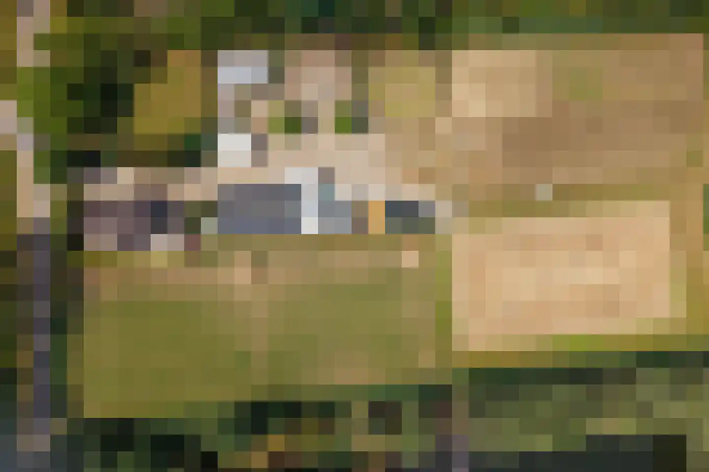 Woerdsestraat 20 Altforst thumbnail 58