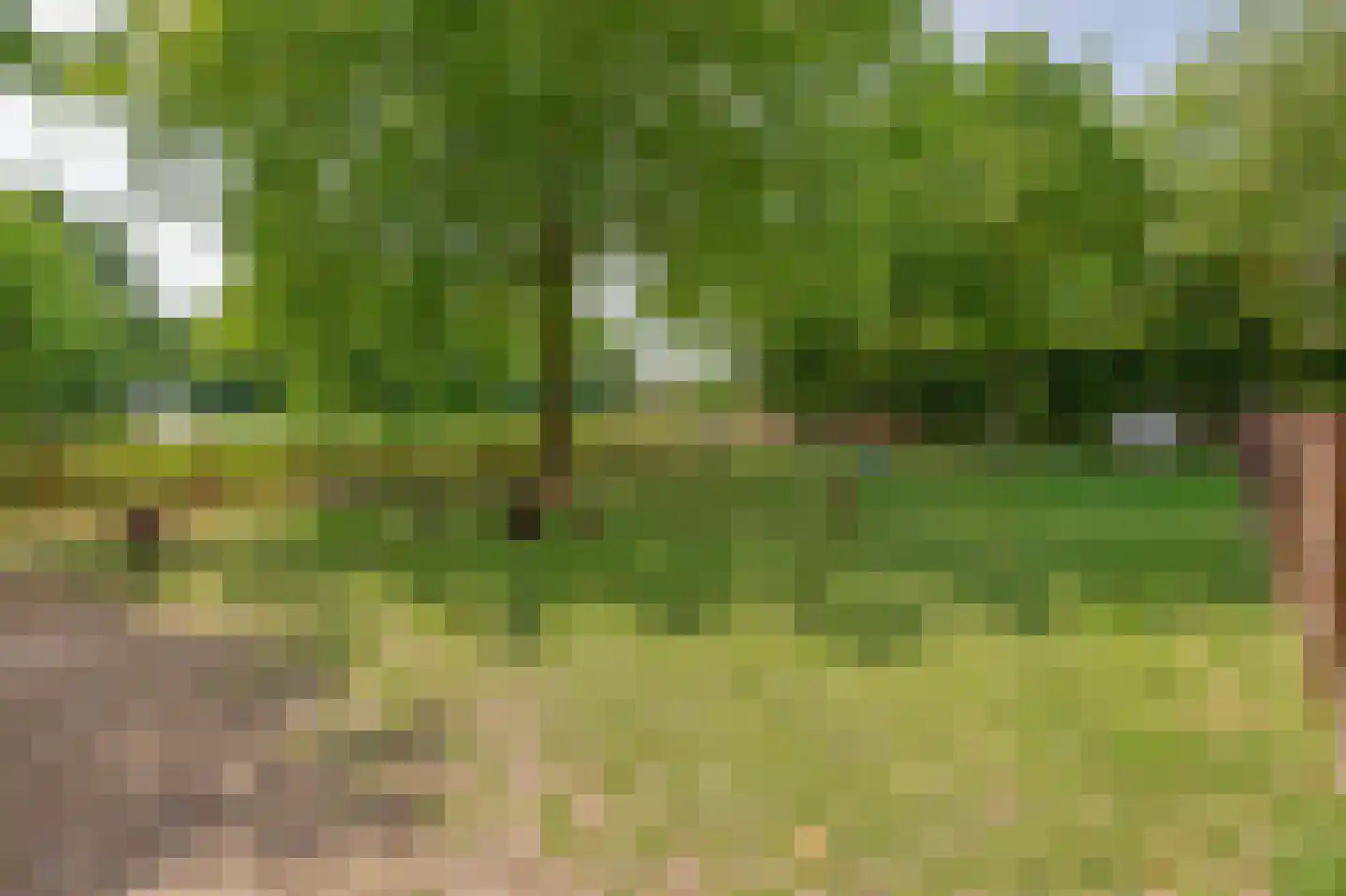 Woerdsestraat 20 Altforst thumbnail 59